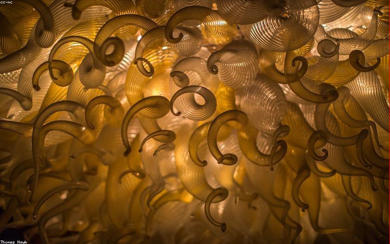 Flugzeug am Flughafen Denver